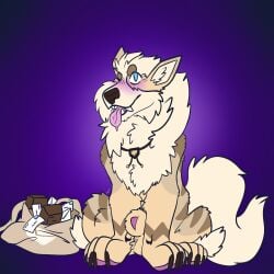 1:1 animal_genitalia anthro arcanine cosmicstarpup feral generation_1_pokemon genitals hi_res male nintendo pokemon pokemon_(species) sheath solo