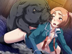 1animal 1girls all_fours bestiality butcha-u cum cum_filled cum_inside cum_leaking cum_overflow cum_pool eroquis excessive_cum female from_behind game_cg huge_belly human interspecies kemono_no_ikenie male mounted pig porcine sex small_breasts source_request spread_legs suid suina sus_(pig) swine vaginal_penetration zoophilia