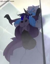 1boy 1girls 2d animated anthro anthro_on_anthro anthro_penetrated anthro_penetrating anthro_penetrating_anthro areolae balls ballsack big_breasts blue_fur blue_hair breasts canid canine_penis carrying carrying_partner coughytoffee cum cum_in_pussy cum_inside cum_overflow cumming_while_penetrating digital_art digital_media female female_anthro female_penetrated full_nelson full_nelson_(legs_held) full_nelson_vaginal furry genital_fluids genitals grey_body grey_fur hi_res huge_balls huge_cock hyper hyper_balls hyper_knot hyper_penis hyper_testicles interspecies knot knotted_penis knotting large_balls male male/female male_penetrating male_penetrating_female marine marine_humanoid nipples no_sound nyren_sororik pawpads paws penetration penis pussy pussy_juice reverse_suspended_congress sex short_playtime shorter_than_30_seconds size_difference straight tagme tail testicles two-tone_body two-tone_hair vaginal_knotting vaginal_penetration vaginal_sex vertical_video video wolf worshipable_balls zarayna