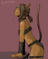 catgirl dark-skinned_female female female_only final_fantasy final_fantasy_xi midriff mithra nekomimi short_hair solo tail