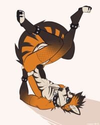 Chevron (Marking) Rule 34 Image