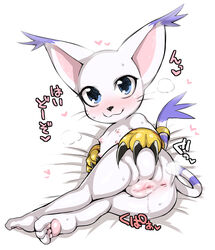 1girls ass censored claws clothing digimon feline female_only fur furry furry_only gatomon gloves mizo_ne nipples pussy