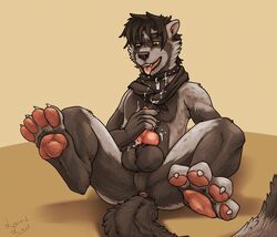 2015 anthro balls collar cum cum_in_mouth cum_inside erection hindpaw lizardlars male male_only mammal mustelid paws penis polecat scarf shawndlohawk sitting