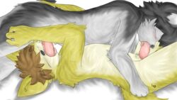 69 anthro blush canine closed_eyes erection fur log_(artist) lying male mammal oral penis plain_background sex vein yaoi