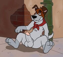 balls bandana blueballs_(artist) canine circumcised disney dodger erection feral flat_colors humanoid_penis looking_at_viewer male male_only mammal oliver_and_company outside penis quadruped raised_eyebrow reclining solo spread_legs spreading