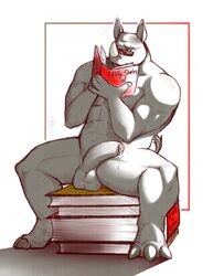 anthro balls book cum cum_on_penis english_text erection eyewear fifty_shades_of_grey_(franchise) glasses headgear male male_only mammal nude orgasm penis reading requiembeatz rhinoceros sitting solo spread_legs spreading text uncut