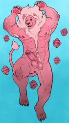 anthro balls cartoon_network chumbasket erection feline fur humanoid_penis lion lion_(steven_universe) looking_at_viewer lying male male_only mammal muscles nude on_back penis pink_fur pinup pose solo steven_universe