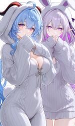 2girls adorable ai ai_generated bunny bunny_ears bunny_girl bunnygirl bunnysuit castorice_(honkai:_star_rail) cute cute_face duo duo_female duo_focus ganyu_(genshin_impact) genshin_impact honkai:_star_rail impacter long_sleeves no_watermark oversized_clothes oversized_shirt pixai