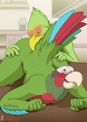 all_fours anal anthro art_(herr_wozzeck) ass ass_up avian beak bed better_version_at_paywall bird blue_body blue_feathers chikiota cuban_amazon digital_media_(artwork) duo falcon falconid feathers furniture green_body green_feathers hand_on_butt hi_res male male/male multicolored_body multicolored_feathers nude on_bed oral parrot red_body red_feathers rimming sex smile sparkx tail tail_feathers