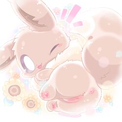 eevee from pokemon by waruwaru0205