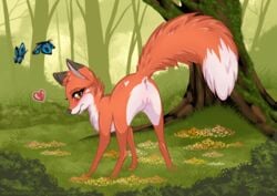 2015 abby abby_(rukifox) anthro anus ass canine female feral fox from_behind inviting looking_at_viewer mammal nude presenting presenting_anus presenting_hindquarters presenting_pussy pussy raised_tail rukifox solo