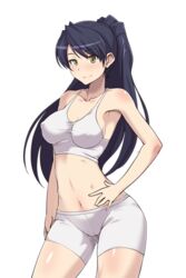 black_hair breast female female_only long_hair ponytail senkou_no_lumina_zenpen:_sennyuu!_saint_alucard_jogakuen solo tied_hair yellow_eyes