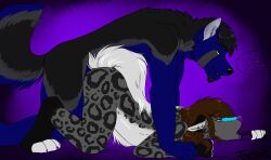 abstract_background all_fours ambiguous_anthro ambiguous_gender ambiguous_penetrated ambiguous_penetration anthro anthro_on_anthro arm_markings ass_up bent_arm bent_legs black_body black_ears black_fur black_hair black_nose blue_body blue_eyes blue_fur blue_markings blue_piercing bridge_piercing brown_hair canid claws countershade_torso countershading dialogue digital_media_(artwork) doggy_style duo ears_down facial_hair facial_markings facial_piercing feet female female_on_bottom fingerless_(marking) flynx flynx-flink from_behind_position fur goatee green_eyes grey_body grey_fur grey_inner_ear grey_markings hair half-closed_eyes hand_on_wrist head_markings leg_markings legionwolfe leopard_spots lying male male/ambiguous male_anthro male_on_top male_penetrating male_penetrating_ambiguous mammal markings mottled_tongue multicolored_tongue narrowed_eyes nose_piercing nude_ambiguous nude_anthro nude_male on_bedding on_bottom on_front on_top open_mouth outline_speech_bubble paws penetration piercing pivoted_ears purple_background purple_claws purple_nose purple_tongue raised_tail sex simple_background socks_(marking) speech_bubble spots tail tear_(marking) toe_claws toeless_(marking) tongue two_tone_tongue white_body white_countershading white_fingers white_fur white_inner_ear white_tail white_toes