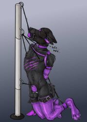 canid canine canis chastity_cage chastity_device clothing epistaxiophilia harness leggings legwear male mammal pole restraints solo wolf wuffywufferson