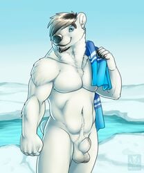 1boy anthro artist_logo artist_name bear beerbelly biceps blue_eyes body_fur chest_tuft facial_hair fluffy_tail furry furry_only grey_hair male male_only male_pubic_hair mammal muscles pecs polar_bear towel tuft vallhund white_fur