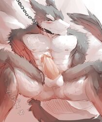 1boy abs anthro balls blush cum erection fur kemono male male_only muscles penis ramzo_hiryuga_(braziliandog) sergal solo tamazukiakiyama