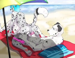 anthro ass canine dalmatian feline group leopard male mammal raised_tail sevrah snow_leopard t0nystark yaoi