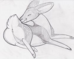 2015 anus ass cervine closed_eyes coonpoof crotchboobs deer female feral lying mammal on_side pussy sketch solo tiny_crotchboobs