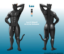 ass black_fur dark_skin feline fur furry jay_malamute lao_doron looking_at_viewer male mammal model_sheet muscles panther penis smile solo standing