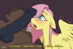 fluttershy (mlp) from friendship is magic by cobalt snow