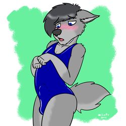 canine clothed clothing erection male mammal penis solo standing swimsuit wolf z1ats