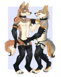 anthro bulge canine clothed clothing collar coyote duo ear_piercing eye_contact fully_sheathed fur grope half-dressed iceblizzard licking licking_lips male mammal piercing rubber sheath sheath_grab smile standing tongue tongue_out yaoi