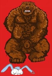 1boy anthro balls bear body_hair chubby dakota-bear drooling grizzly_bear happy_trail lagomorph male male_only mammal musclegut muscles nude rabbit saliva sheath simple_background solo