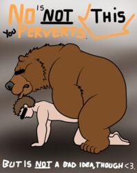 1boy anal animated bear bestiality dakota-bear feral feral_on_human feral_on_male fur gay human human_on_feral interspecies male male/male male_on_feral male_on_male male_only mammal nude sex yaoi zoophilia