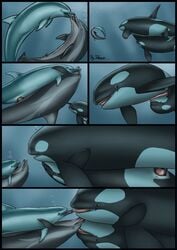 anus blue_eyes bubble cetacean closed_eyes comic dolorcin dolphin duo fellatio female feral feral_on_feral green_eyes group hi_res interspecies kissing larger_male licking male mammal marine open_mouth oral orca penetration penis pussy sex size_difference smaller_female smaller_male straight tapering_penis tongue tongue_out underwater vaginal_penetration water whale