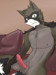 2015 anthro arrwulf bed brown_fur closed_mouth erection fur furry furry_ears furry_only looking_at_viewer male male_only mammal nipples nude on_bed open_eyes penis pillow pointy_ears raccoon sitting solo source_request testicles vitally_(character) white_fur