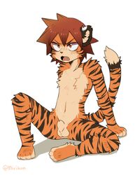 1boy 2015 angry anthro balls barefoot blush feline fur hi_res male male_only mammal miri miri-kun orange_eyes orange_fur sheath sitting solo stripes sweat tiger white_fur young