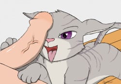 4 Toes Rule 34 Image