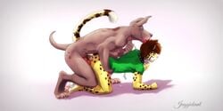 all_fours anal anal_sex animal_genitalia bottomless brown_hair canine closed_eyes clothed clothing cum feline hair half-dressed interspecies jaggiekant jaggiekant_(character) jaguar leash licking male mammal orgasm pawpads paws penetration tongue tongue_out yaoi