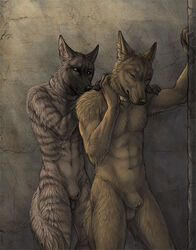 2015 abs anthro balls bathing brown_fur collar duo fur golden_jackal grey_eyes grey_fur grey_stripes half-closed_eyes hand_on_shoulder hyena male mammal nude rukis sheath standing striped_body striped_hyena wet yaoi