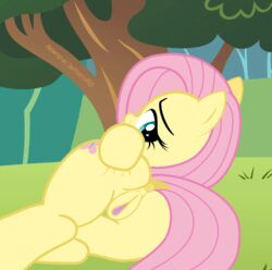 2015 animal animated anus ass equine female fluttershy friendship_is_magic mammal my_little_pony pegasus pussy shutterflyeqd solo wings