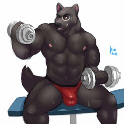 1boy anthro bin_(artist) bulge canine male male_only mammal muscles solo weightlifting weights wolf