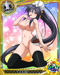 akeno himejima from high school dxd by animius