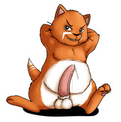 balls chubby emenius feline gamercat male male_only mammal penis solo sweet_(the_gamercat) white_background