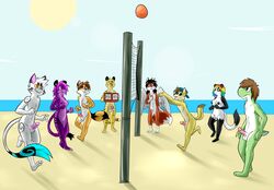 anthro balls beach bear blast_mcyote breasts canine cheetah coyote erection feline female fox geoff_(yoshi) group male mammal mario_(series) metal_(artist) metal_(character) nintendo nude nude_beach outside panda penis prisma_lin sam_the_angel_fox seaside sky steve_(smsfoxx) tiger volleyball wings yoshi zach_(gamerfox)