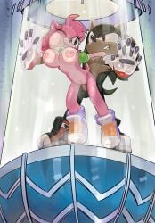 amy rose from sonic (series) by pinklilim