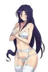 blue_eyes blue_hair breast female female_only lingerie long_hair senkou_no_lumina_zenpen:_sennyuu!_saint_alucard_jogakuen solo thigh_gap thighhighs thighs white_bra white_panties