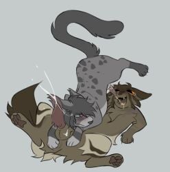 2026 anatomically_correct anatomically_correct_genitalia anatomically_correct_penis animal_genitalia animal_penis ashfur_(thunderclan) balls blue_eyes blue_sclera bodily_fluids brown_balls canon_x_oc cum cumshot domestic_cat duo ejaculation fan_character fangs felid feline feline_genitalia feline_penis felis feral fur genital_fluids genitals grey_body grey_fur grey_hair hair hi_res intraspecies littleperrito male male/male mammal musk open_mouth open_smile orgasm peeing peeing_in_mouth penile_spines penis pigeonfur_(pige0nfur) pink_penis smegma smelly_penis smile teeth urine urine_in_mouth warriors_(book_series) watersports