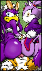 amber_eyes anthro ass avian beak big_ass bird blaze_the_cat blue_eyes bottomless canine cat clothed clothes cum cum_on_self escopeto feline female fox group half-dressed looking_at_viewer looking_back male mammal partially_clothed penis pov precum purple_feathers purple_fur sonic_(series) sonic_riders straight swallow_(bird) tails wave_the_swallow yellow_eyes