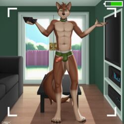 2015 4_toes 5_fingers anthro backlighting barefoot black_nose briefs brown_fur bulge canine claws clothed clothes collar couch day digitigrade dog erection front_view fur furniture furry_ears furry_tail green_eyes half-dressed holding humanoid_penis indoors looking_at_viewer male male_only mammal nathan navel nintendo_3ds open_eyes penis pointy_ears poking_out sigma_x solo standing tail tan_fur toe_claws topless underwear underwear_aside vein