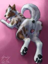 absurd_res anatomically_correct anatomically_correct_genitalia anatomically_correct_vulva animal_genitalia animal_vulva anus backsack balls border_collie butt canid canine canine_genitalia canine_vulva canis collie domestic_dog female feral genitals herding_dog hi_res layed_down looking_at_viewer mammal pastoral_dog pawpads paws sheepdog solo stinkycoyote tail tongue tongue_out vulva