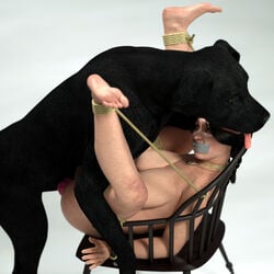 3d bestiality bondage bondage_with_feral bound breasts canine canis3 chair dog female female_penetrated feral feral_on_female feral_on_human feral_penetrating feral_penetrating_female feral_penetrating_human forced forced_bestiality gag human human_female interspecies labrador mammal penis rape sex shione tape_gag zoophilia