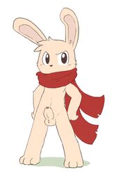 lagomorph male male_only mammal oob penis rabbit scarf