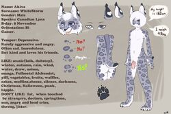 akivaws canadian_lynx heart male male_only model_sheet penis