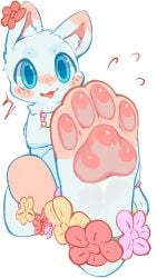 2d 2d_(artwork) digital_drawing_(artwork) digital_media_(artwork) fabulous_beasts falni feet feet_focus feral feral_only flower flowers foot_fetish fur furry furry_only pawpads paws