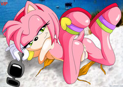 amy rose from sonic (series)